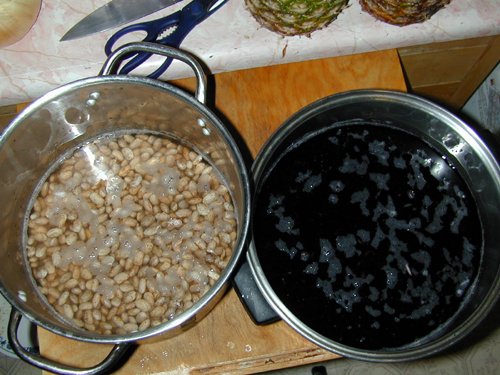 Beans after soaking overnight
