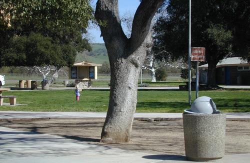 Miriam on the grass at Camp Roberts southbound