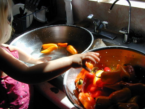 Miriam washing peppers