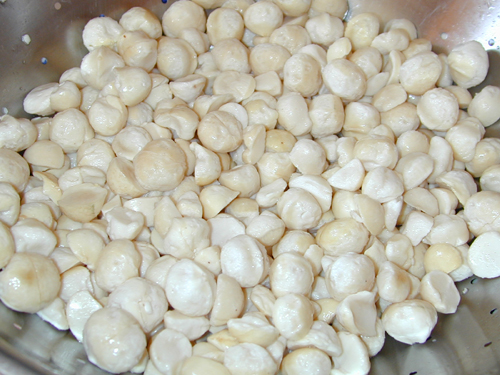 Soaked macadamia nuts after being washed