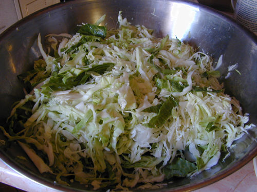 Shredded cabbage in a bowl
