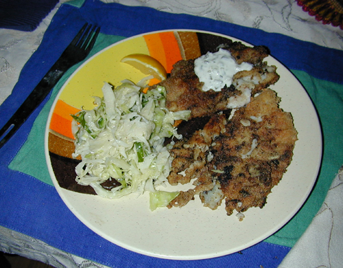 Fried fish, cole slaw, and tarter sauce