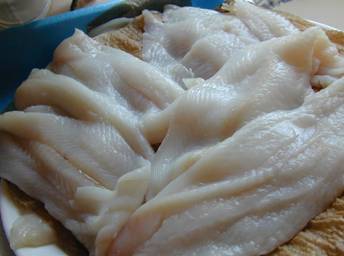 Dover sole washed and drying