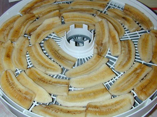 Sliced banana ready for the dehydrator