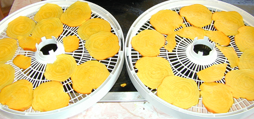 Golden beets ready to be dried