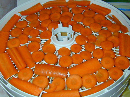 Raw carrots ready for the dehydrator