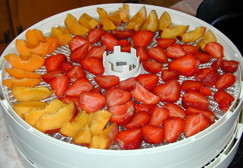 Fruit ready to be dried