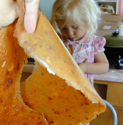 Fruit leather ready to eat