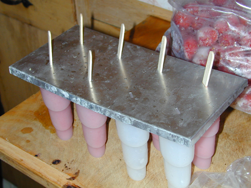 Popsicles ready to go into the freezer