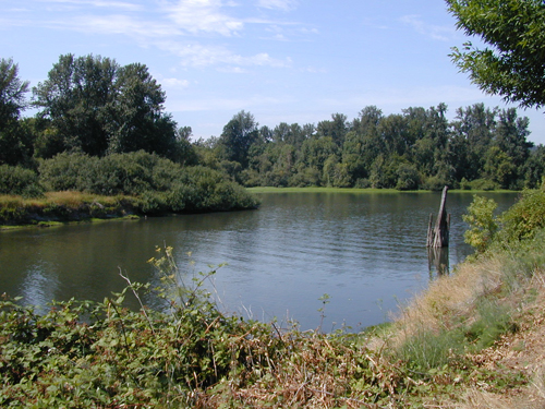 Williamette River at the north end of Riverfront Park