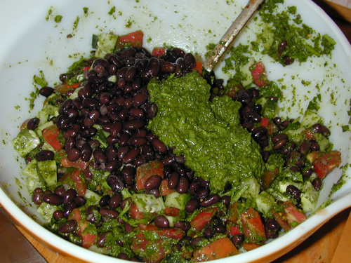 Black bean salad with chimichurri sauce