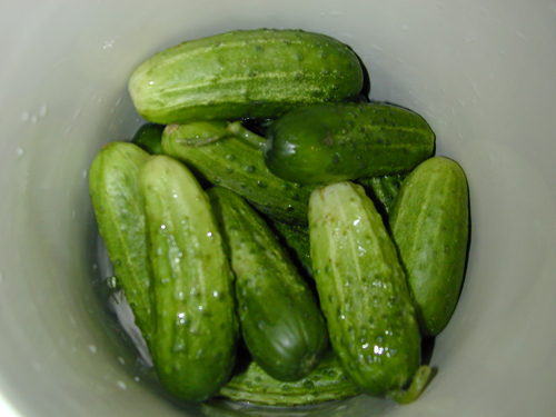 Packing pickles