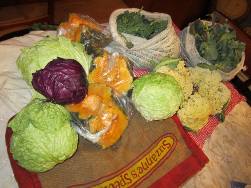 Produce haul from Green String Farm