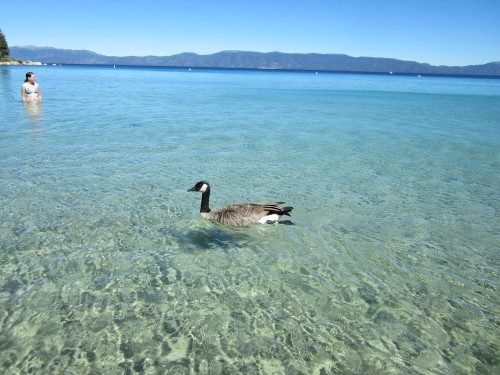 Lake Tahoe at Meeks Bay